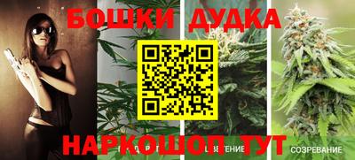Альфа ПВП Будённовск