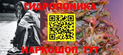 Альфа ПВП Будённовск