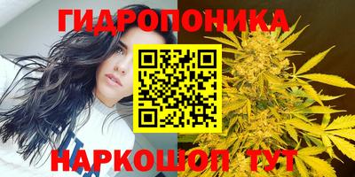 PSILOCYBIN Бузулук